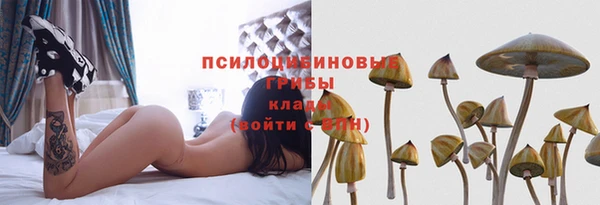 а пвп мука Балабаново