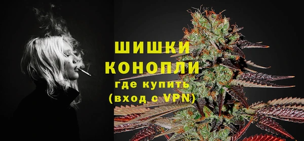 стаф Баксан